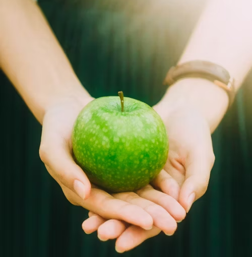 Hands holding a fresh green apple.